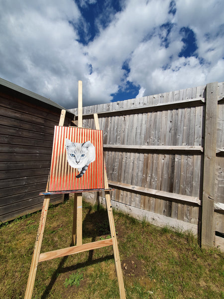 Cat with Stripes