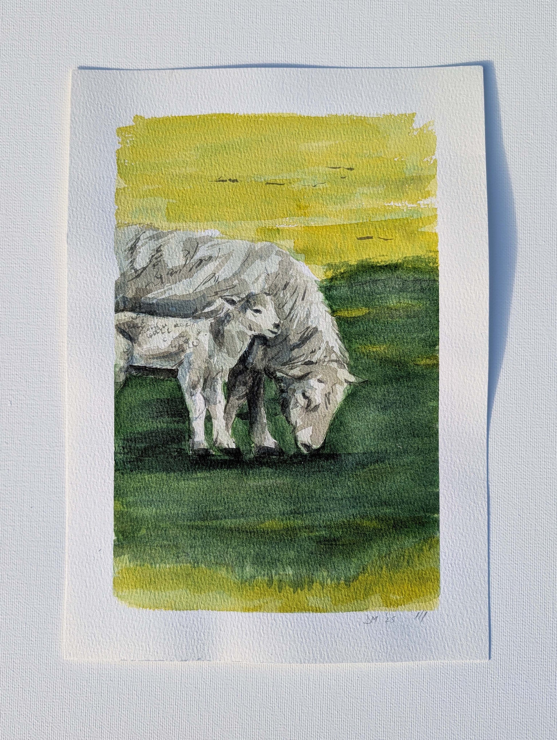 Watercolour painting of an ewe and its lamb grazing on a vivid yellow field at West Dean, by Daniela Militaru