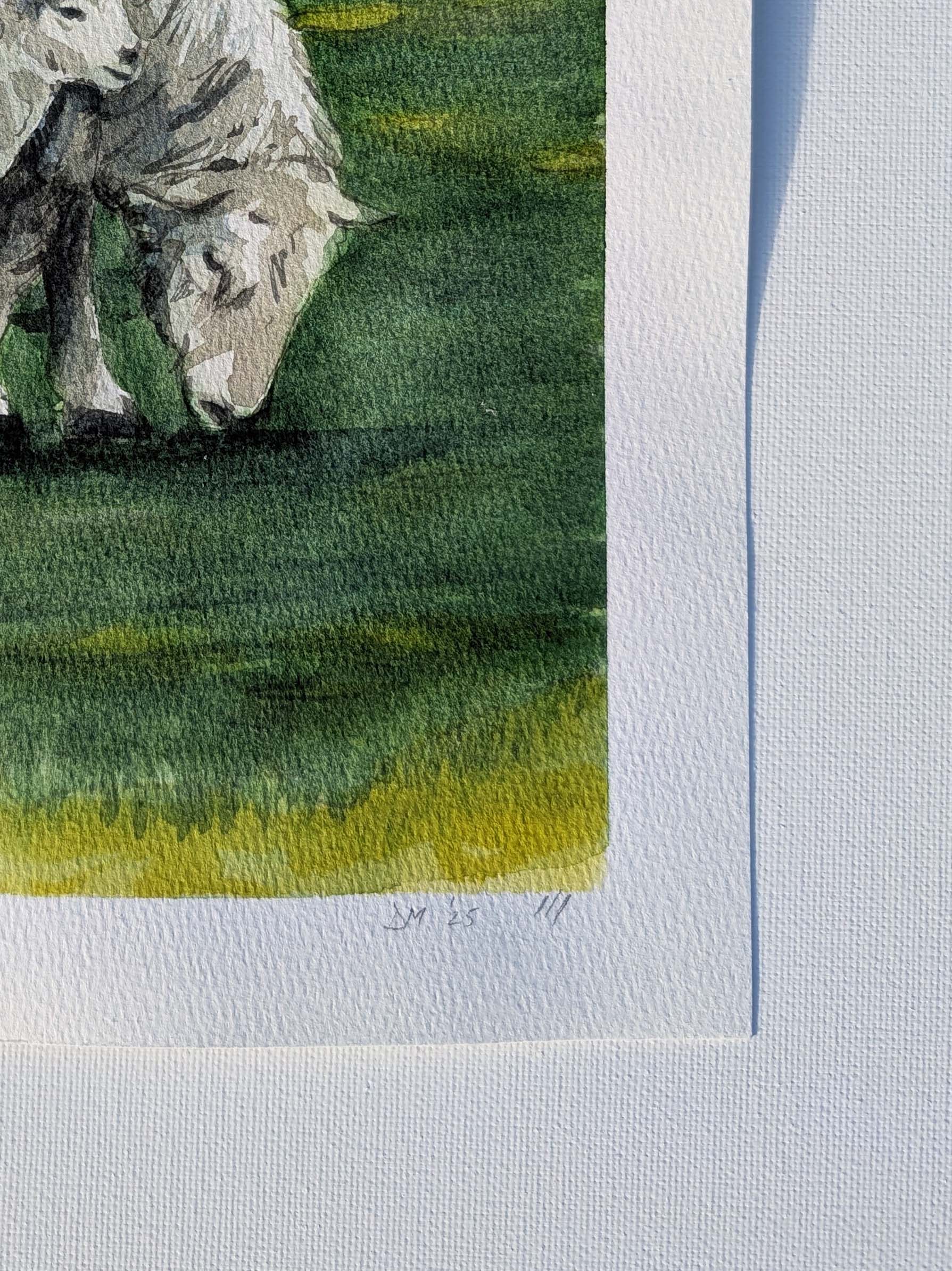 Close-up of signature on the watercolour painting of an ewe and its lamb grazing on a vivid yellow field at West Dean, by Daniela Militaru