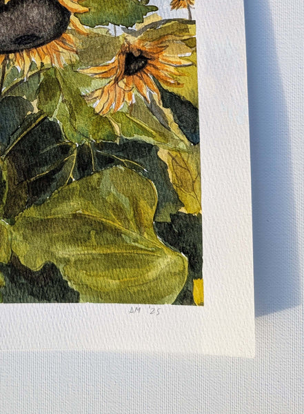 The Sunflowers