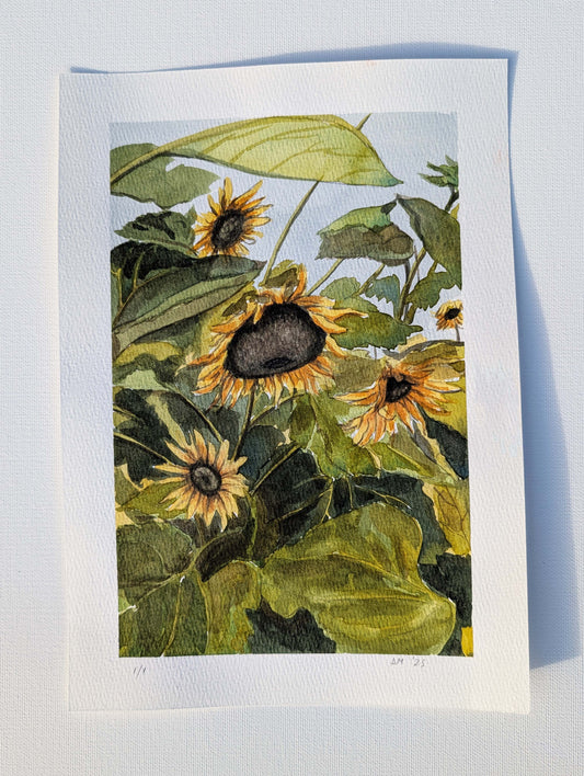 Watercolour painting of sunflowers in close-up, bright petals beneath broad green leaves, by Daniela Militaru