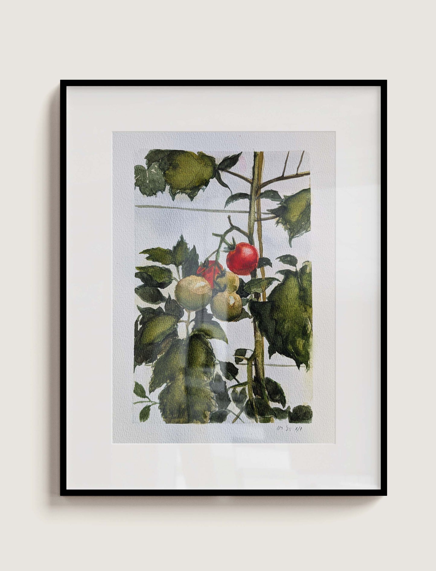 Framed watercolour painting of tomatoes on the vine in late summer, some ripe red, by Daniela Militaru